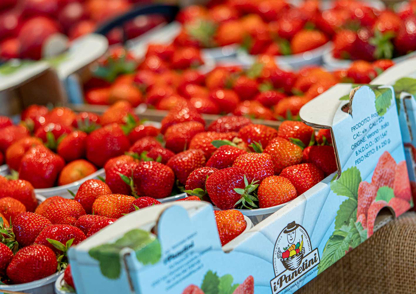 Fragole di Verona