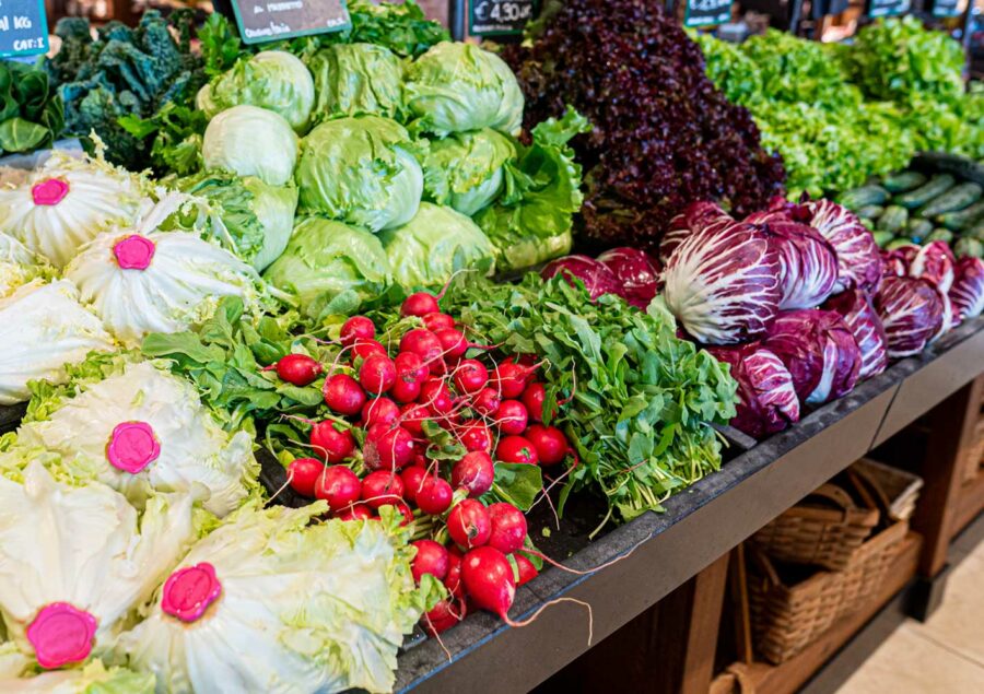 Rapanelli, Rucola, Insalata